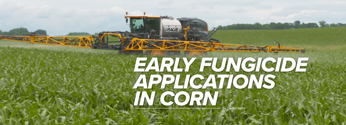 Early fungicide applications in corn mobile article header image