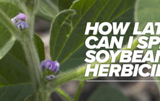 How late can I spray soybean herbicides article header image