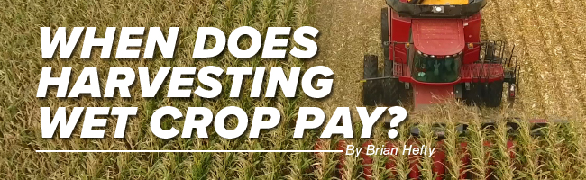 Agronomy. Answers. Yield. Aug/Sept 2020 Mobile Article Header Image When Does Harvesting Wet Crop Pay