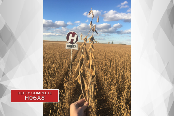 H06X8 harvest soybean field image