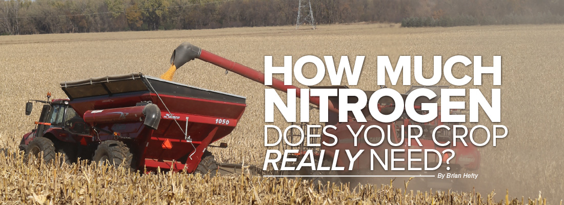 How much nitrogen does your crop really need mobile article header image