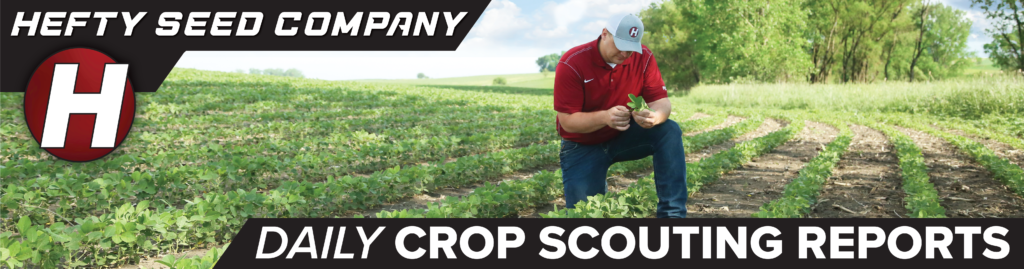 daily crop scouting report image