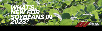 What's New For Soybeans In 2023? | Hefty Seed Company