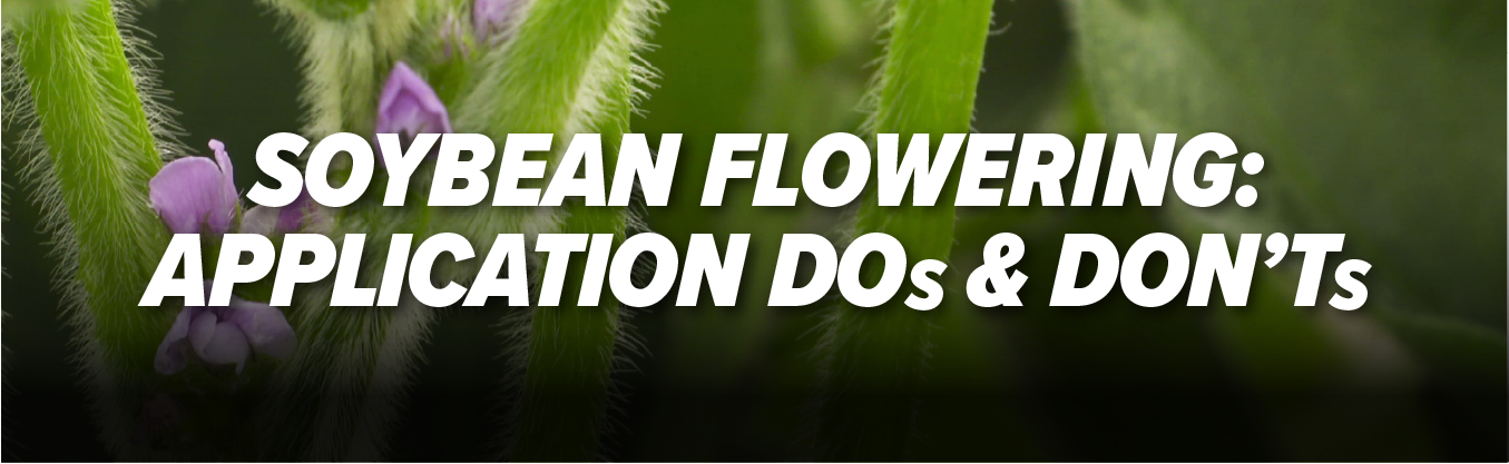 Soybean Flowering Application Dos & Don'ts