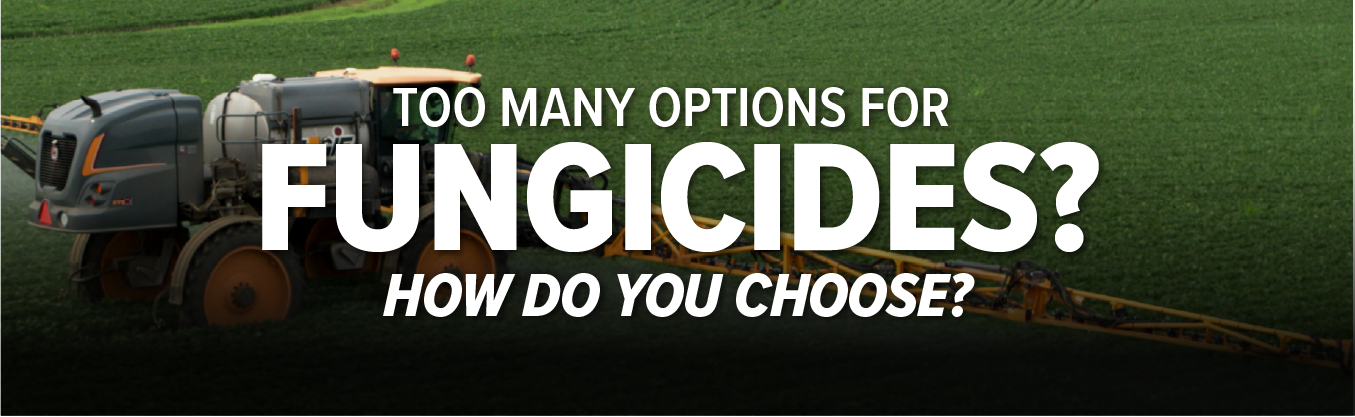 Too Many Options for Fungicides? How do you choose?