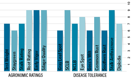 H4064 Agronomic Chart