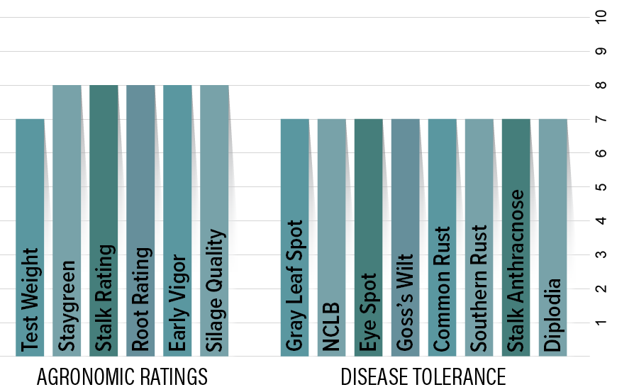 H2941 Agronomic Chart