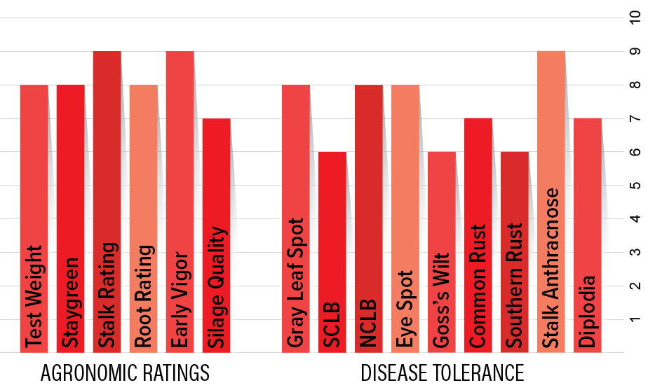 H4162 Agronomic Chart