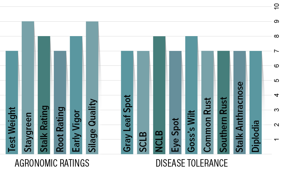 H2941 Agronomic Chart