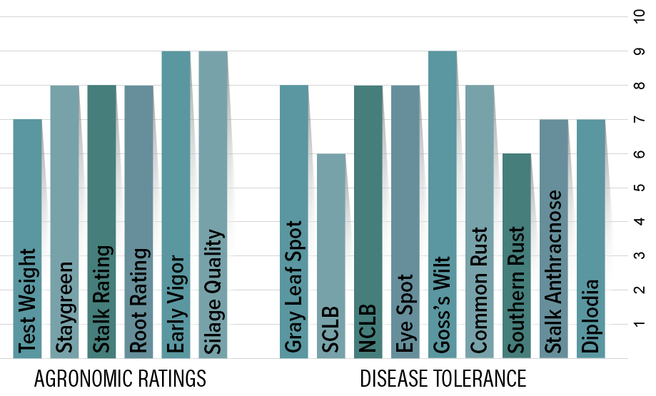 H2941 Agronomic Chart