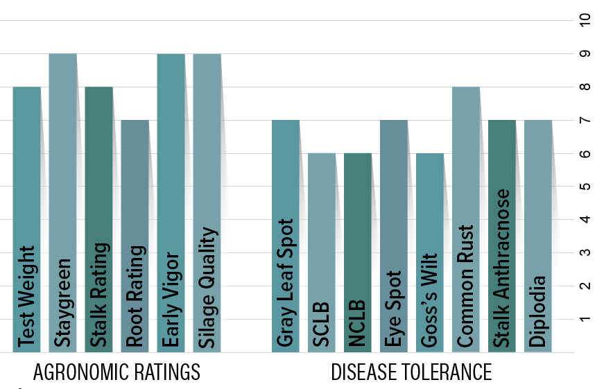 H2941 Agronomic Chart