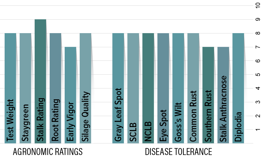 H2941 Agronomic Chart