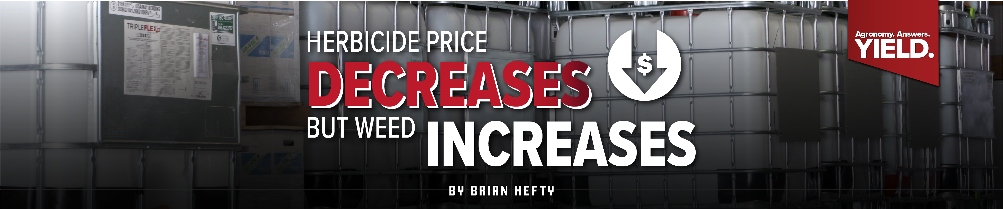 Herbicide Price Decreases But Weed Increases