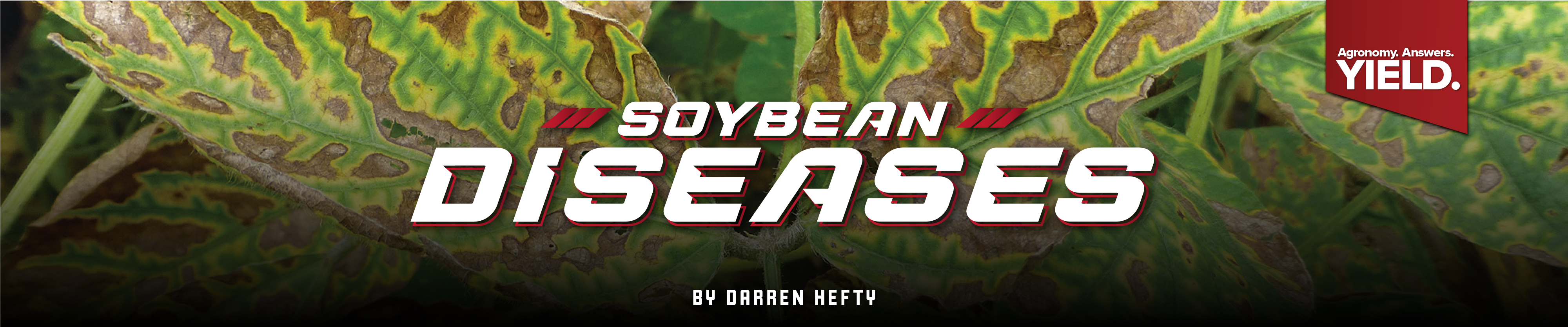 Soybean Diseases