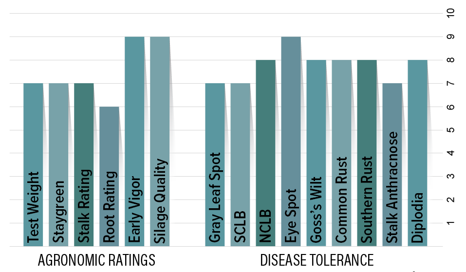 H2941 Agronomic Chart