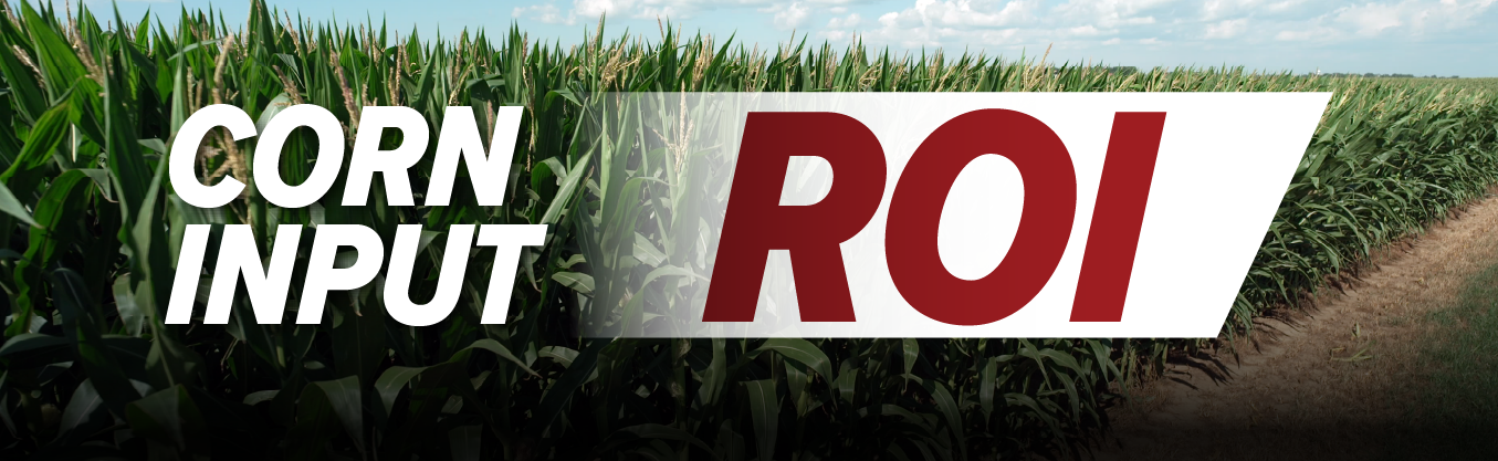 Corn Input ROI