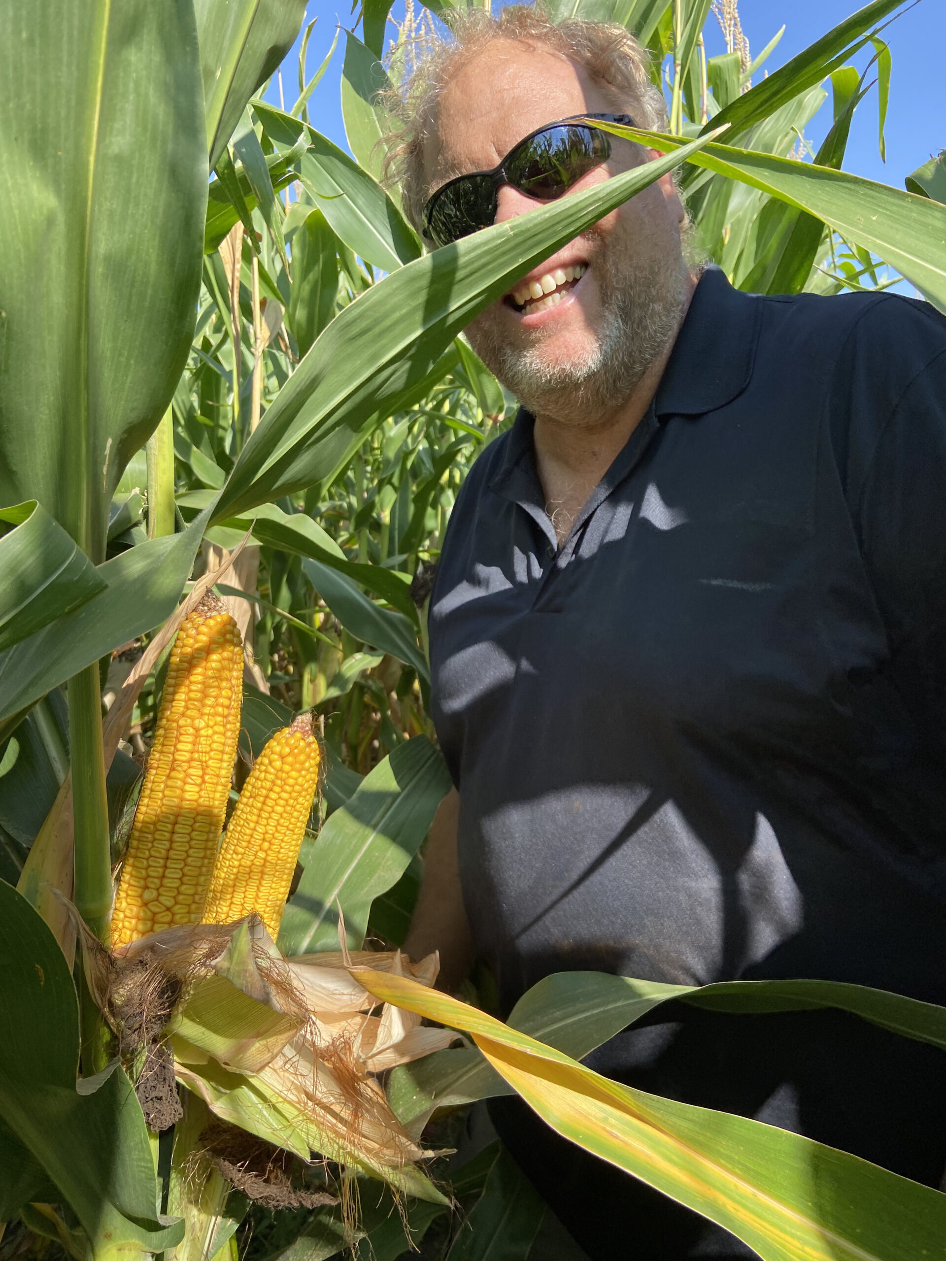 Spraying Fungicides